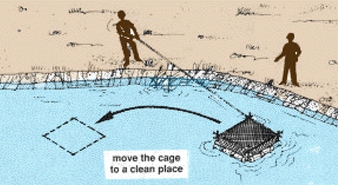 0496-01.gif (52058 byte)