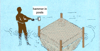 0511-01.gif (64285 byte)