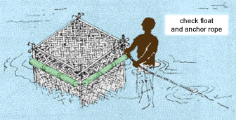 0512-01.gif (58249 byte)