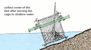 0515-01.gif (27501 byte)