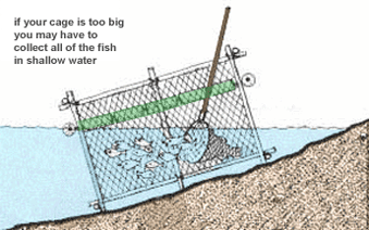 0517-01.gif (47795 byte)