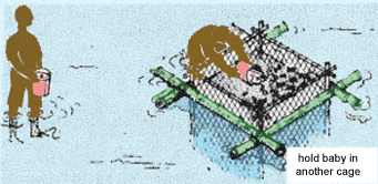 0519-01.gif (57400 byte)