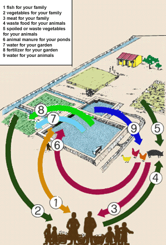 0531-01.gif (76905 byte)