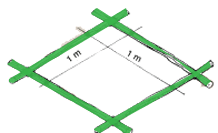 0456-01.gif (8045 byte)