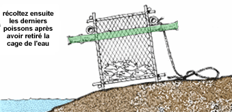 0516-01.gif (27435 byte)