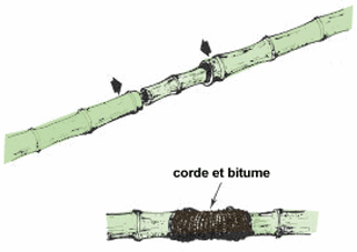 L24101.gif (16965 byte)