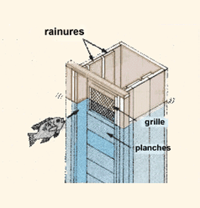 L24116.gif (31780 byte)