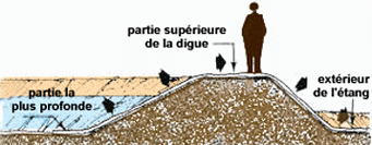 L24124.gif (28475 byte)