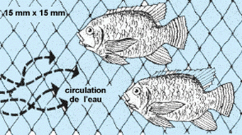 L24444.gif (65727 byte)