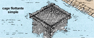 L24446.gif (47614 byte)