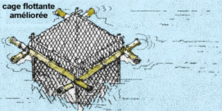 L24447.gif (53634 byte)