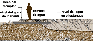 0087-01.gif (32562 byte)