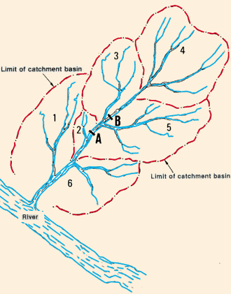 211.GIF (29024 byte)