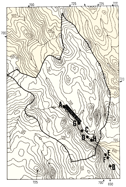 218.GIF (58639 byte)