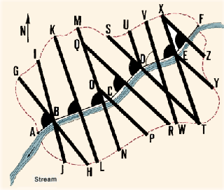 230.GIF (15684 byte)