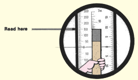 GR216a.GIF (8366 byte)
