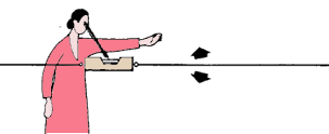 GR244_b.GIF (3318 byte)