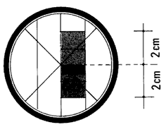GR266b.GIF (5339 byte)