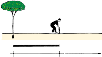 GR33_b.GIF (5180 byte)