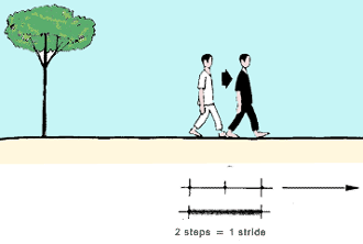 GR37.GIF (6549 byte)