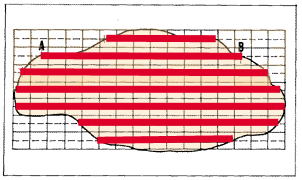 186.GIF (10473 byte)