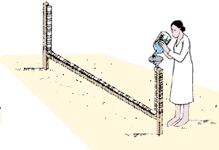 GR277a.GIF (8125 byte)