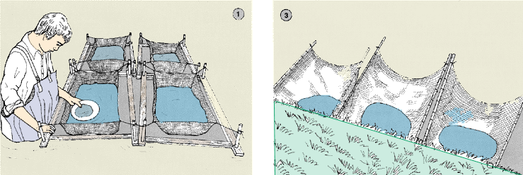 MANAGEMENT for freshwater fish culture