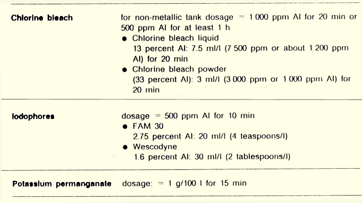 251.GIF (58577 byte)