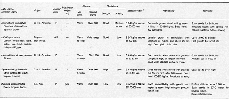 table6.GIF (55822 byte)