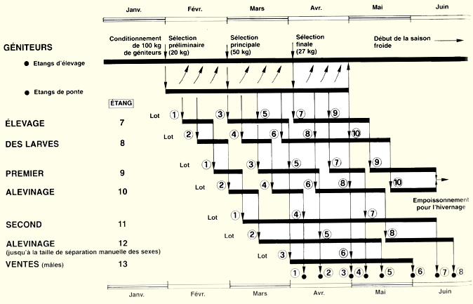 108.GIF (47542 byte)