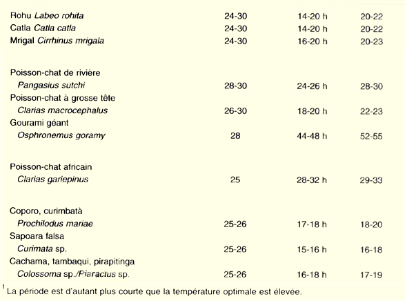 74_a.GIF (36076 byte)