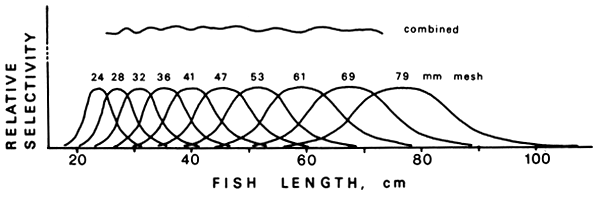 Figure 4.3