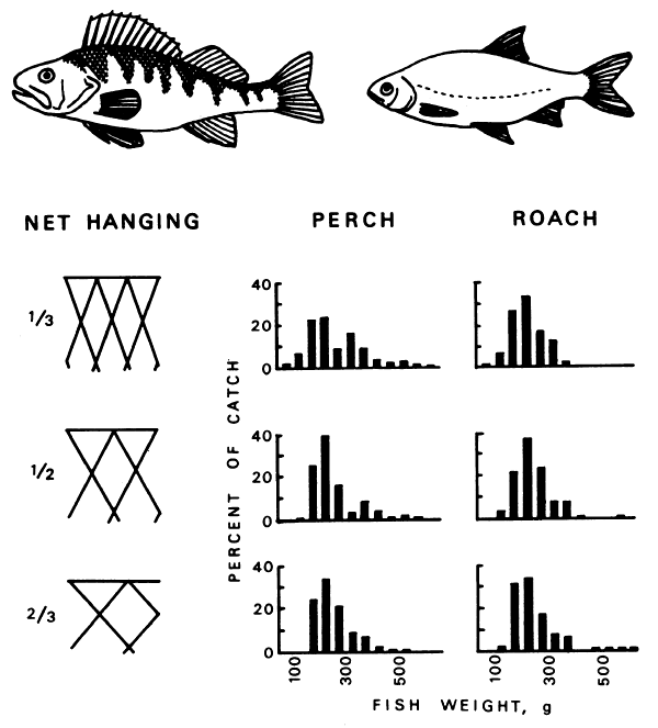 Figure 4.4