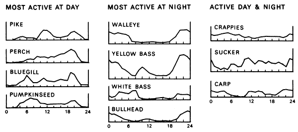 Figure 4.6