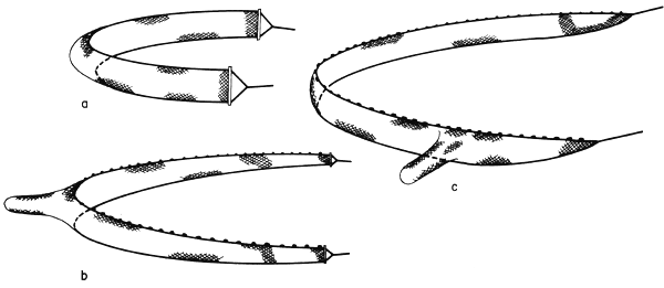 Figure 6.1