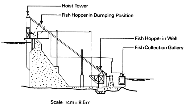 Figure 10.2