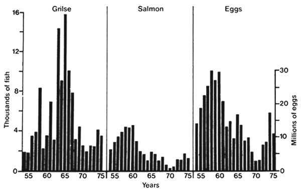 Figure 10.4