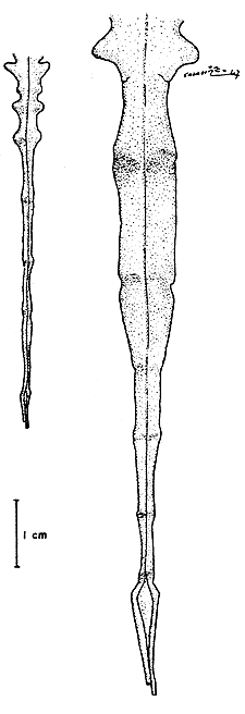 Fig. 8
