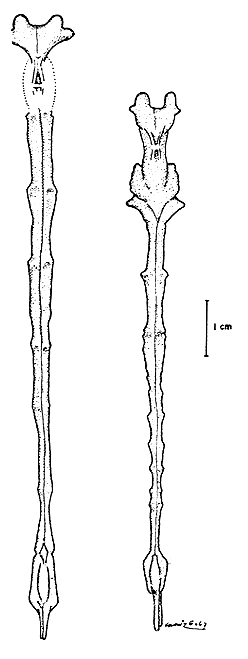 Fig. 9