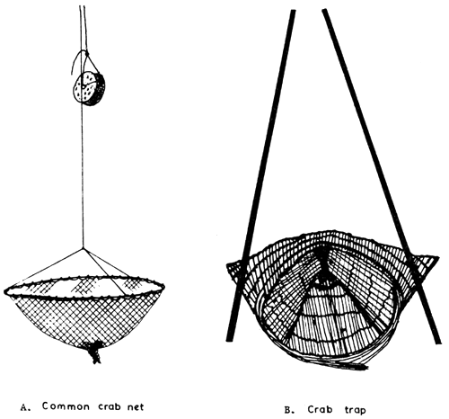 Fig. 8