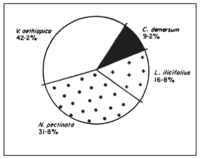 Figure 3-B