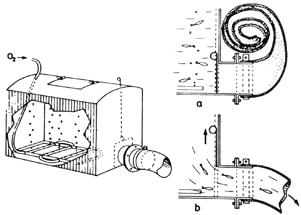 Figure 22