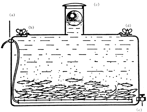Figure 47