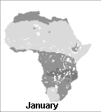 Click to load animation