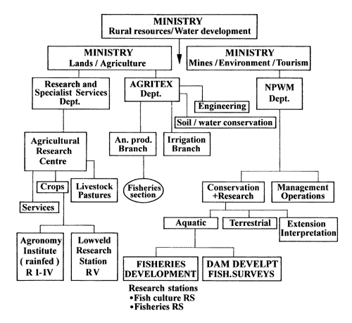 Organ.GIF (21936 bytes)