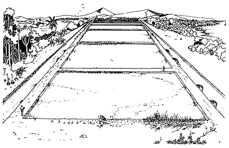 Fig.2.