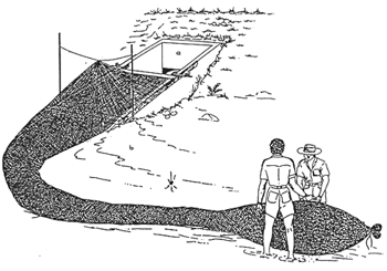Fig.19.