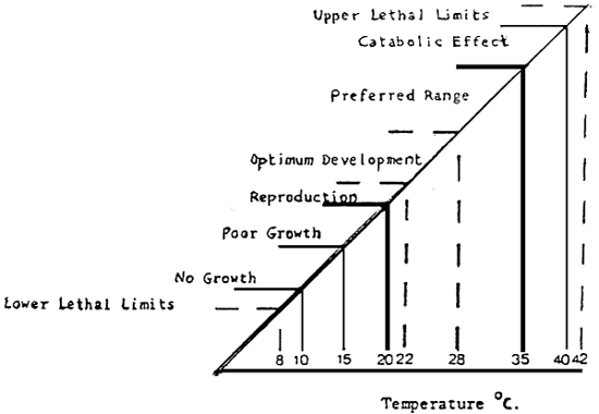 Figure 1b