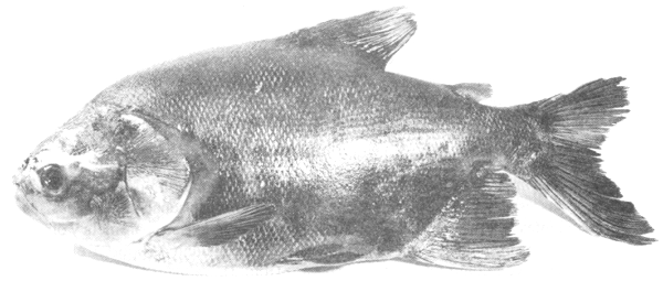 Fotograf&iacute;a 1.