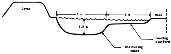 Figure 13.